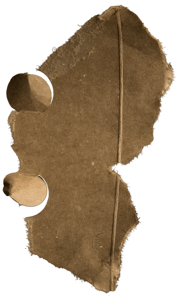 Ligas de Freestyle USA