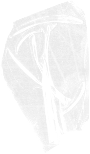 Ligas de Freestyle USA